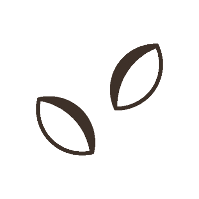 iconfinder seed 7609583 400x400